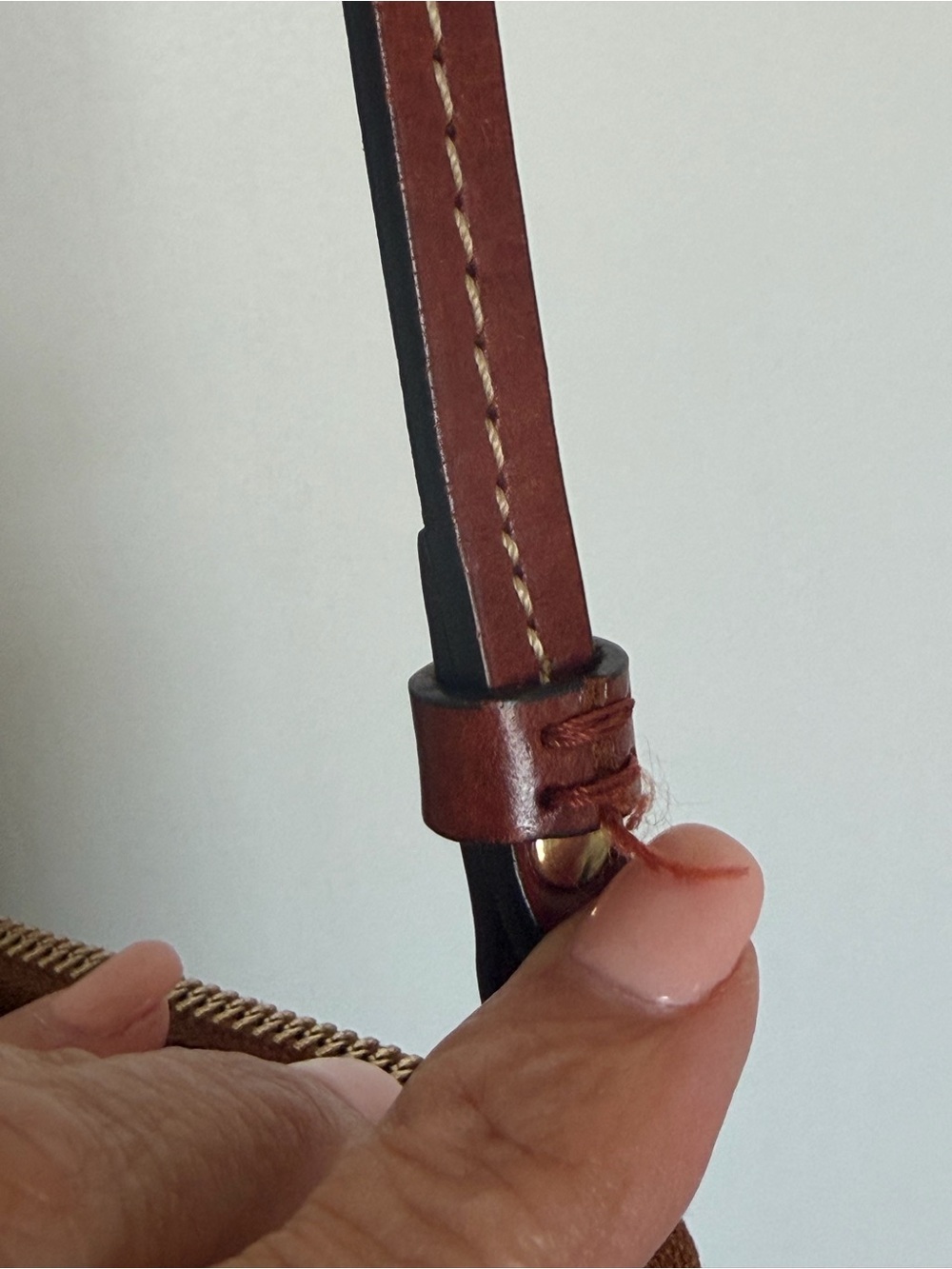 Dooney & Bourke Olive Pebbled Leather Crossbody with Brown Trim - Picture 8 of 15